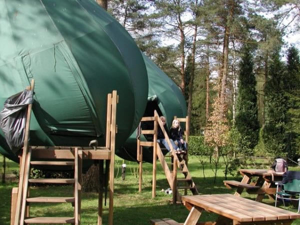 Boomtent De Hertshoorn