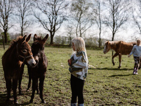 de lange weide boerenbed
