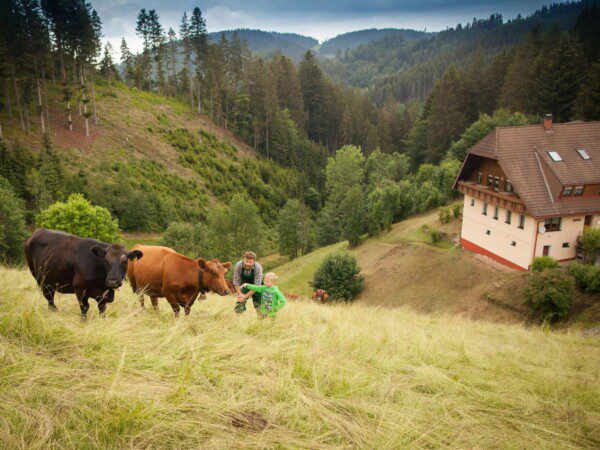 boerenbed Hilserhof