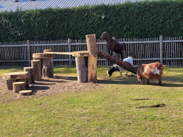 trekkershut wije wereld