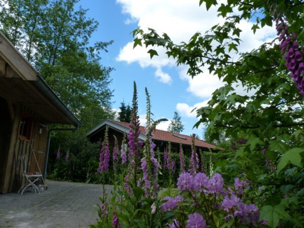 unieke-plekjes-nederland-jacuzzi