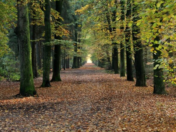 verblijf-met-wandel-fiets-routes