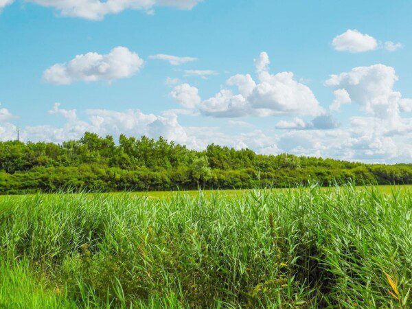 groespaccommodatie-voormalige-brandweerkazerne