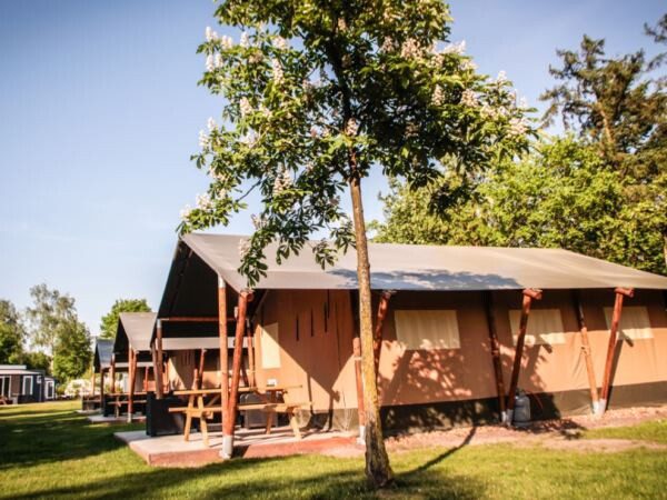 glampings-in-noord-holland-safaritent