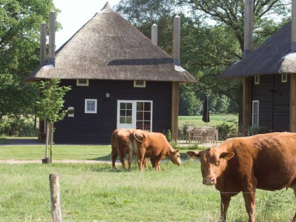 Logeren bij de boer | Boerderijvakanties | Supertrips.nl