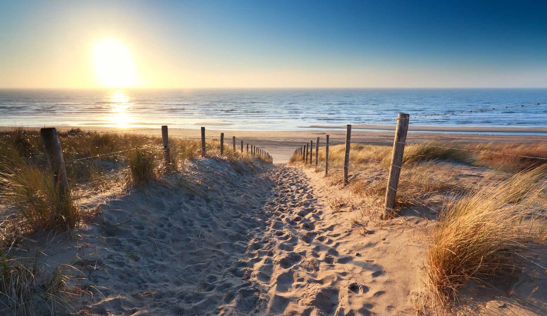 Supertrips - Tiny retreat bij zee