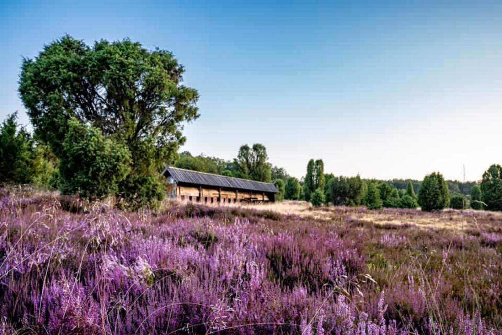 Supertrips - Glamping in de natuur in Duitsland