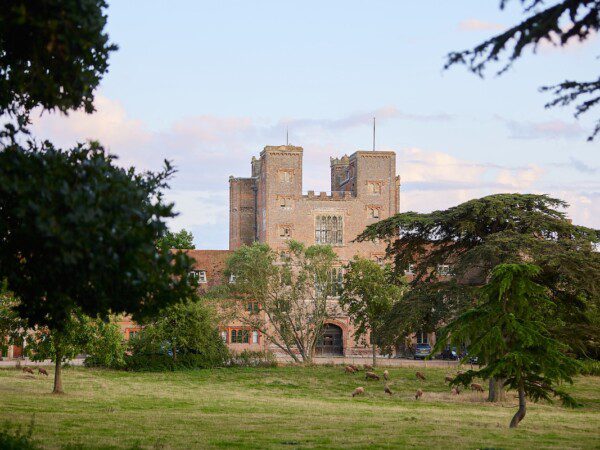 layer marney