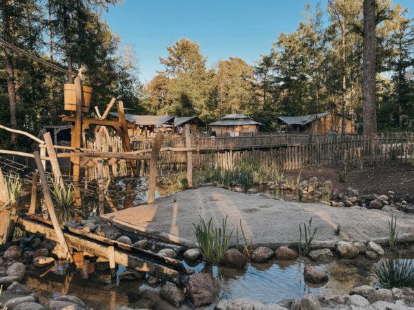 glamping-drenthe-Horstmannsbos