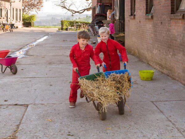 farmcamps verloren kost