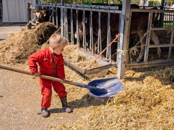 farmcamps boebadoe