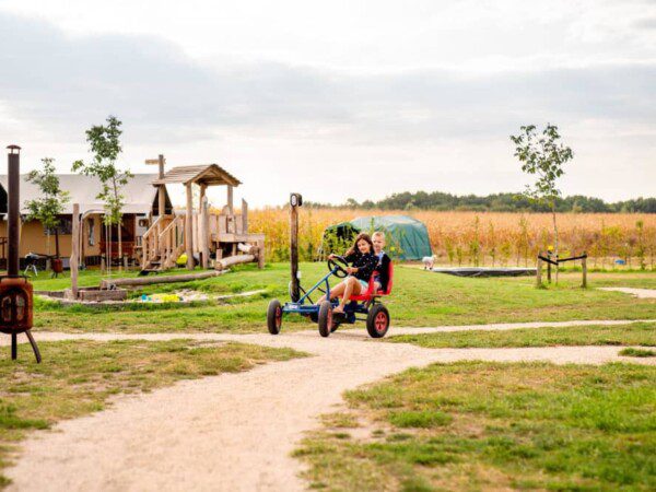 farmcamps hoeve luyterheyde