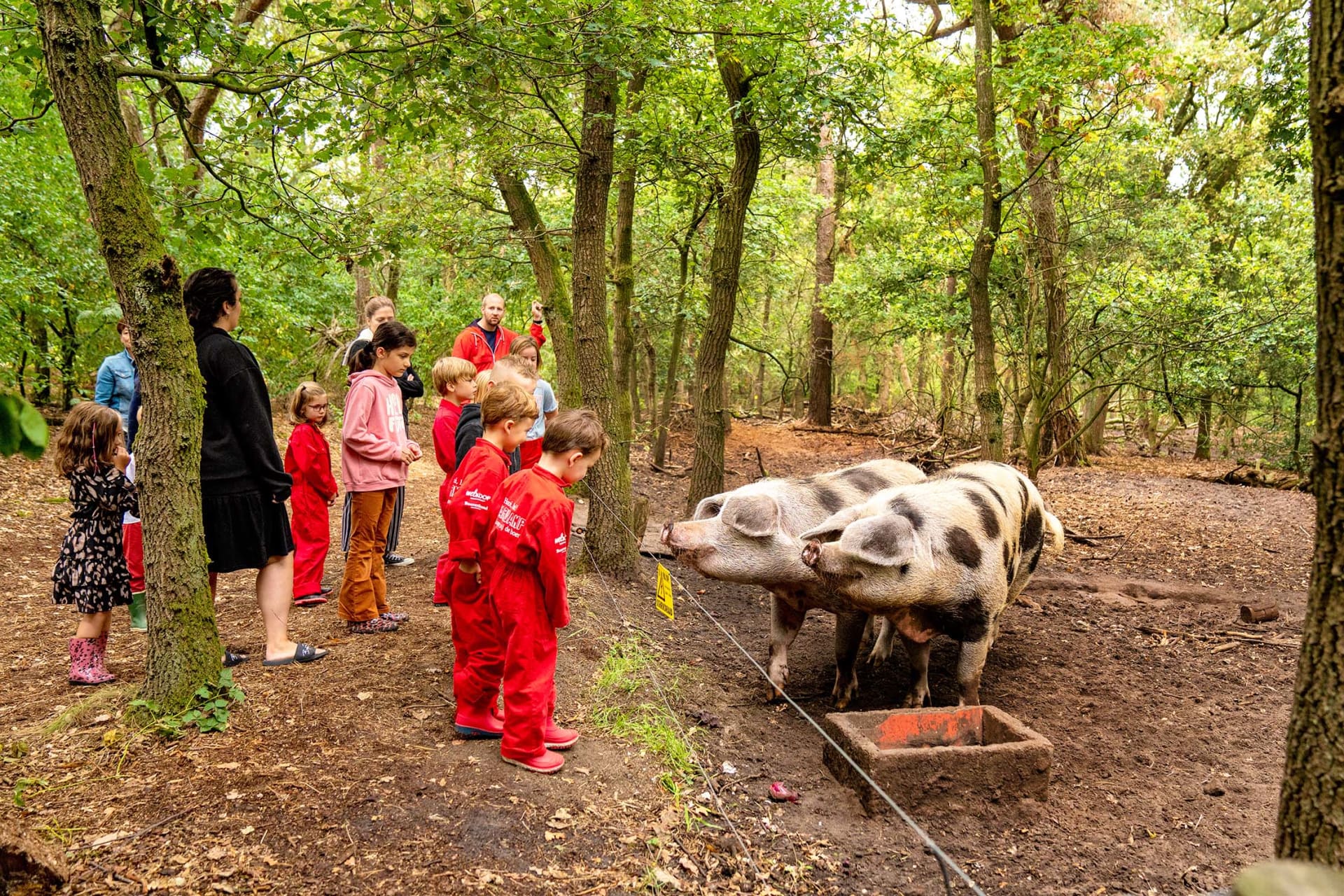 Supertrips - FarmCamps Hoeve Luyterheyde