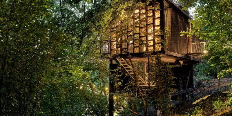 boomhut in de ardennen