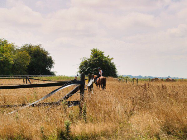 Boerenbed Écuries de Gapennes