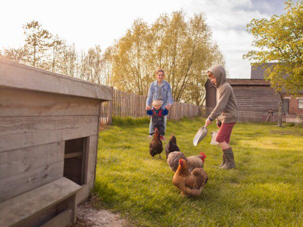 Hoeve den Overdraght