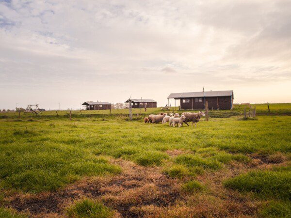 Hoeve den Overdraght