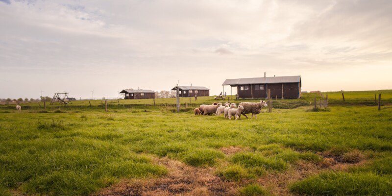 Hoeve den Overdraght