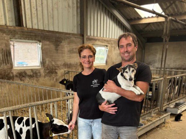 oude melkstal boerenbed