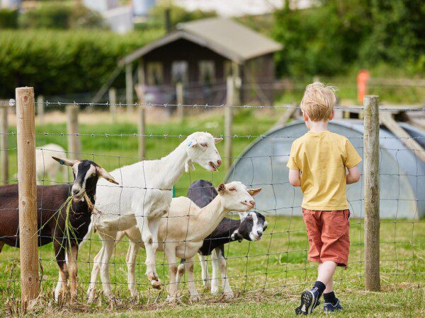 boerenbed Engeland dorset