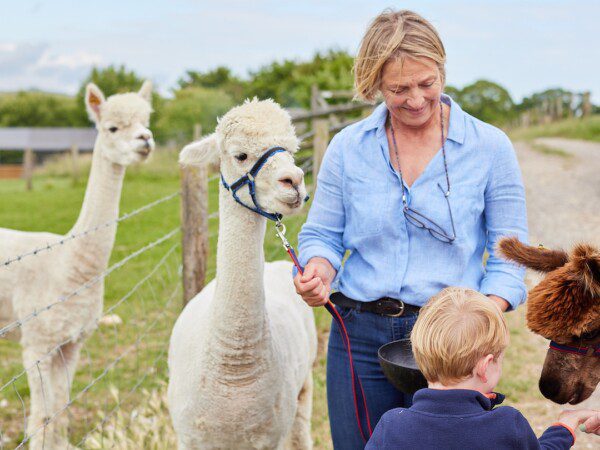 boerenbed Engeland dorset