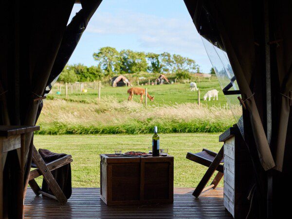 boerenbed Engeland dorset