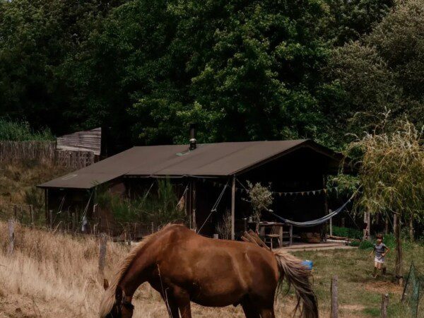 Boerenbed Frankrijk Vendee