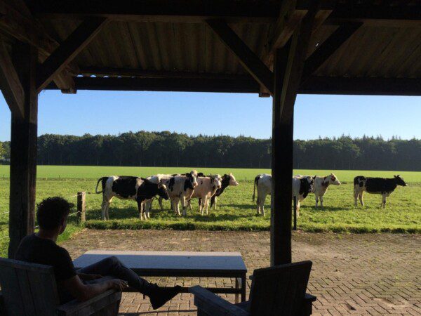 pioniershuisje drenthe