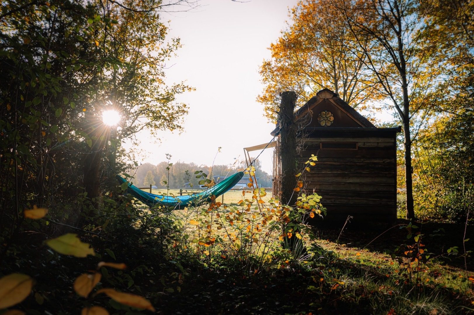 Supertrips - Pioniershuisje in Drenthe