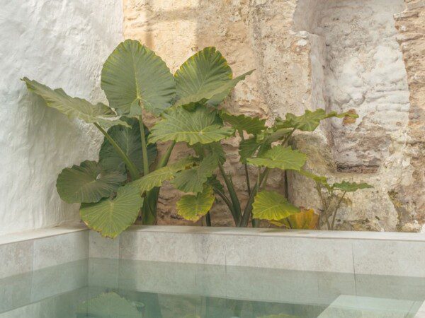 boutique hotel andalusie