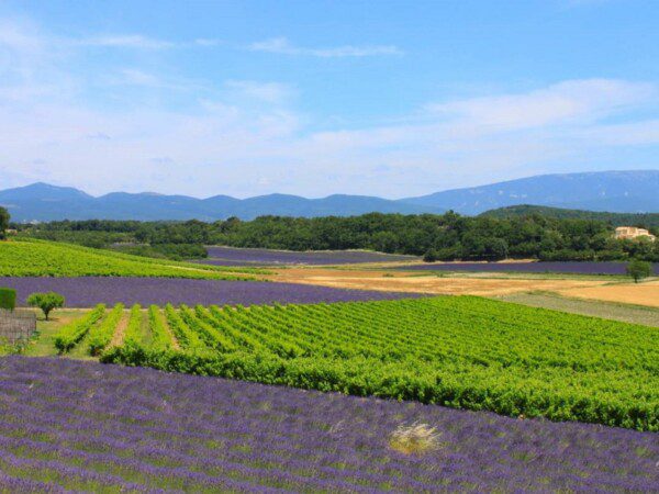 glamping in drome frankrijk