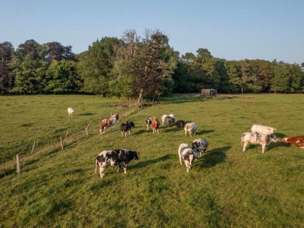 off grid cabin kalmdown