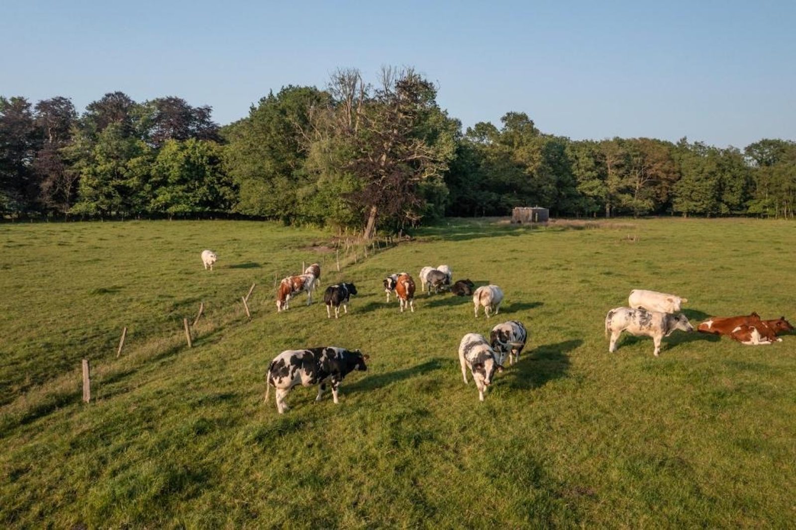 Supertrips - Off-grid cabin in België
