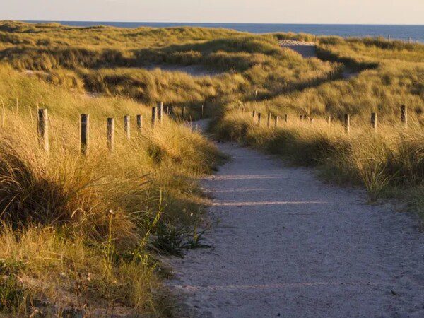 strandhuisjes-petten