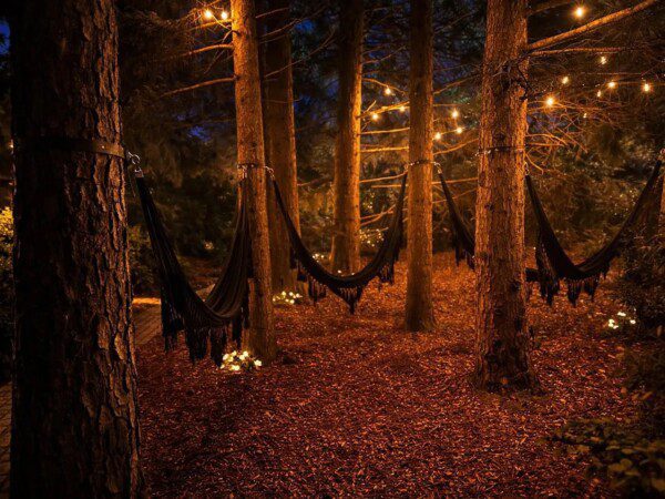 wellness lodge