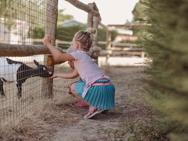 glamping vendee guyonniere